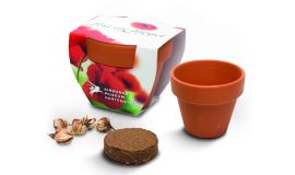 Standard Pot (5 cm)