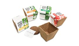 Biodegradable Pot 