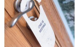 Seed Paper Door Knockers