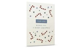 Seed Paper Christmas Cards 'Candy'