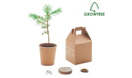 Grow set with pine seeds