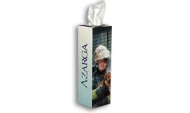 Tower Tissue Box