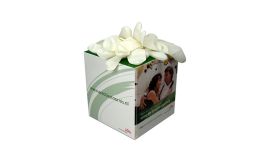 Cube glove boxes