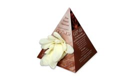 Pyramid printed glove boxes
